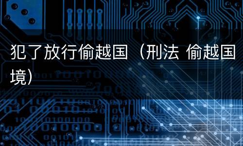 犯了放行偷越国（刑法 偷越国境）
