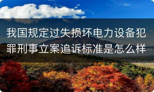 我国规定过失损坏电力设备犯罪刑事立案追诉标准是怎么样规定