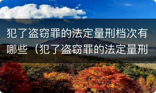 犯了盗窃罪的法定量刑档次有哪些（犯了盗窃罪的法定量刑档次有哪些标准）