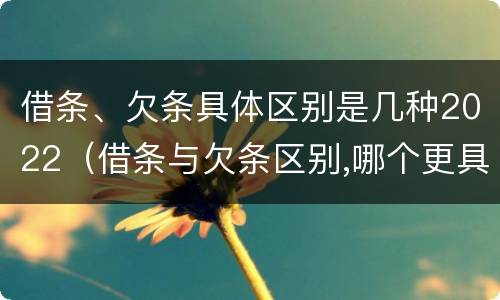 借条、欠条具体区别是几种2022（借条与欠条区别,哪个更具法律）