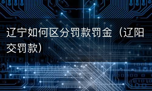 辽宁如何区分罚款罚金（辽阳交罚款）