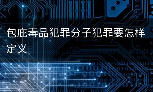 包庇毒品犯罪分子犯罪要怎样定义