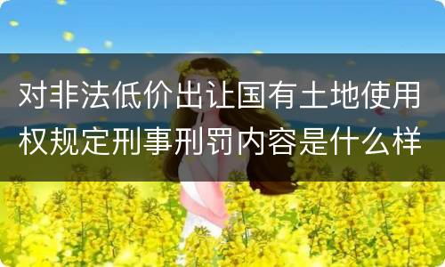 对非法低价出让国有土地使用权规定刑事刑罚内容是什么样