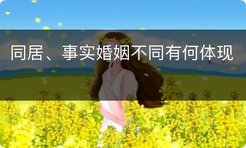 同居、事实婚姻不同有何体现