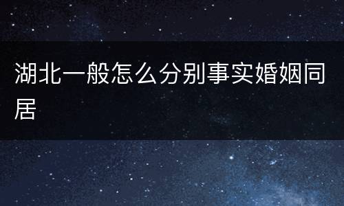 湖北一般怎么分别事实婚姻同居