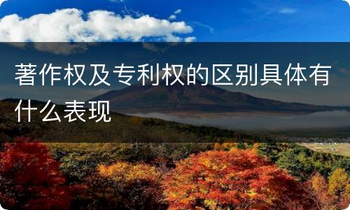 著作权及专利权的区别具体有什么表现