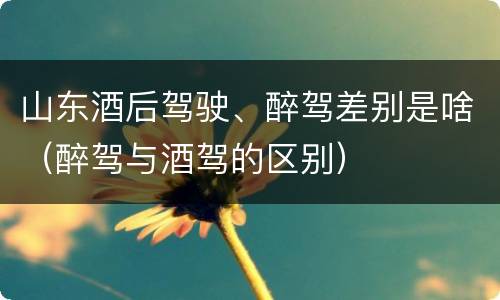 山东酒后驾驶、醉驾差别是啥（醉驾与酒驾的区别）