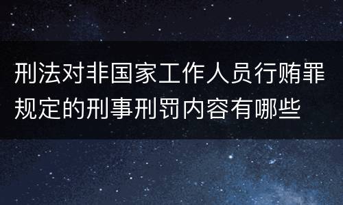 刑法对非国家工作人员行贿罪规定的刑事刑罚内容有哪些