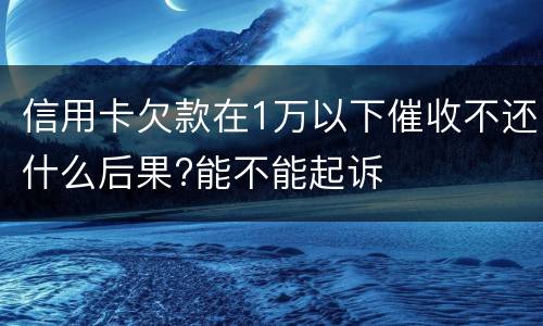 信用卡欠款在1万以下催收不还什么后果?能不能起诉