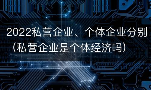 2022私营企业、个体企业分别（私营企业是个体经济吗）