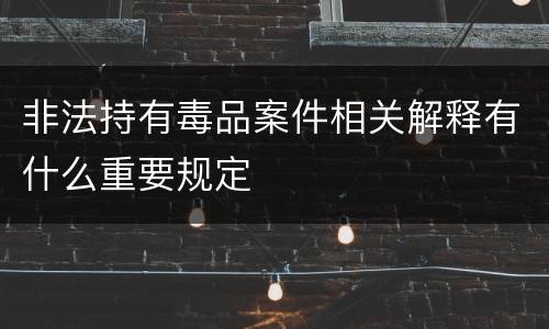 非法持有毒品案件相关解释有什么重要规定