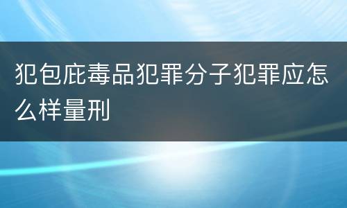 犯包庇毒品犯罪分子犯罪应怎么样量刑