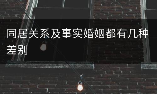 同居关系及事实婚姻都有几种差别
