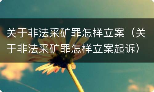 关于非法采矿罪怎样立案（关于非法采矿罪怎样立案起诉）