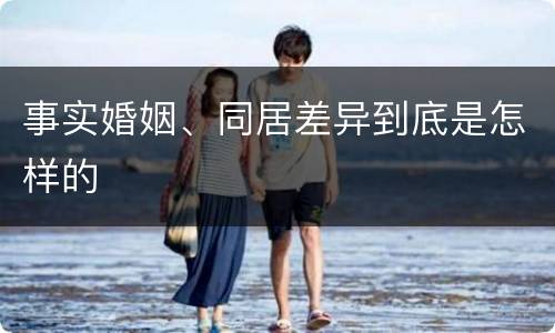 事实婚姻、同居差异到底是怎样的