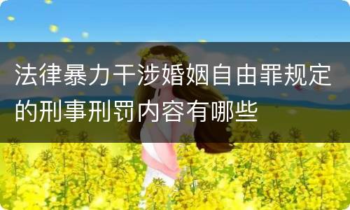 法律暴力干涉婚姻自由罪规定的刑事刑罚内容有哪些