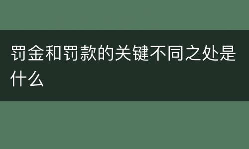 罚金和罚款的关键不同之处是什么