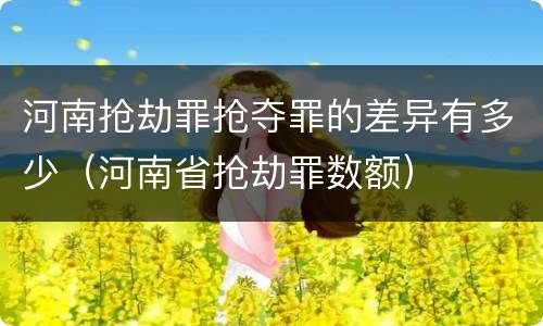 河南抢劫罪抢夺罪的差异有多少（河南省抢劫罪数额）