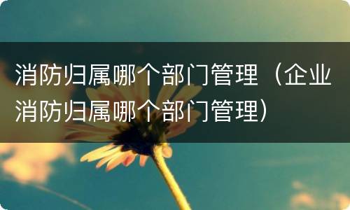 消防归属哪个部门管理（企业消防归属哪个部门管理）