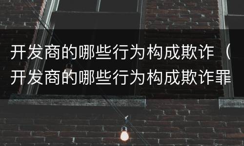 开发商的哪些行为构成欺诈（开发商的哪些行为构成欺诈罪）