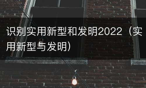 识别实用新型和发明2022（实用新型与发明）