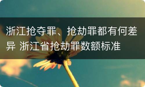 浙江抢夺罪、抢劫罪都有何差异 浙江省抢劫罪数额标准