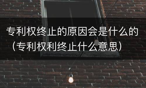 专利权终止的原因会是什么的（专利权利终止什么意思）