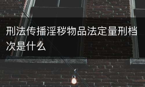 刑法传播淫秽物品法定量刑档次是什么