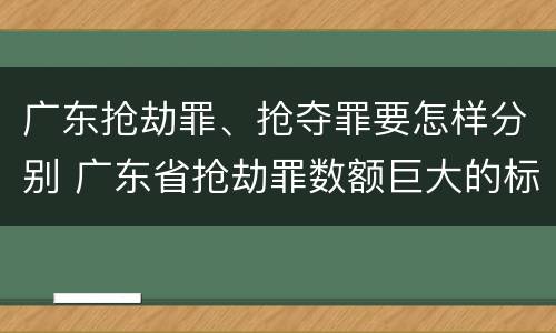 广东抢劫罪、抢夺罪要怎样分别 广东省抢劫罪数额巨大的标准