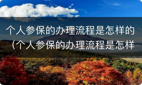 个人参保的办理流程是怎样的（个人参保的办理流程是怎样的呀）