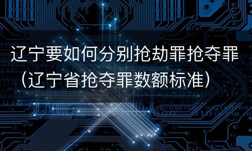 辽宁要如何分别抢劫罪抢夺罪（辽宁省抢夺罪数额标准）