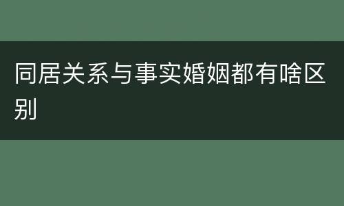 同居关系与事实婚姻都有啥区别 同居关系与事实婚姻都有啥区别