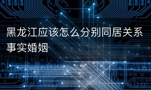 黑龙江应该怎么分别同居关系事实婚姻