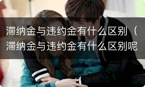 滞纳金与违约金有什么区别（滞纳金与违约金有什么区别呢）