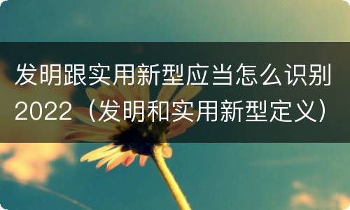 发明跟实用新型应当怎么识别2022（发明和实用新型定义）