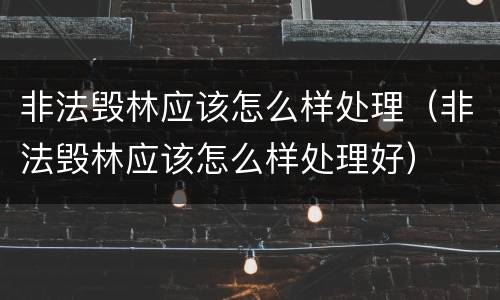 非法毁林应该怎么样处理（非法毁林应该怎么样处理好）