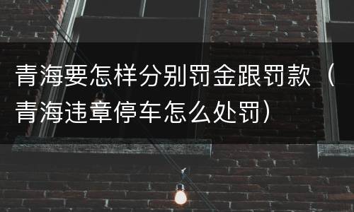 青海要怎样分别罚金跟罚款（青海违章停车怎么处罚）