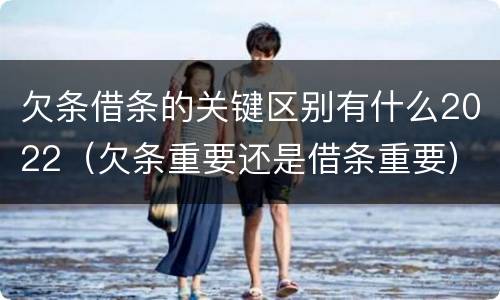 欠条借条的关键区别有什么2022（欠条重要还是借条重要）