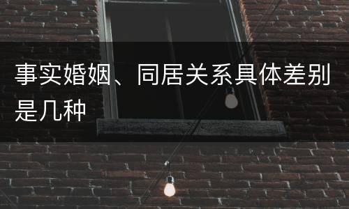 事实婚姻、同居关系具体差别是几种