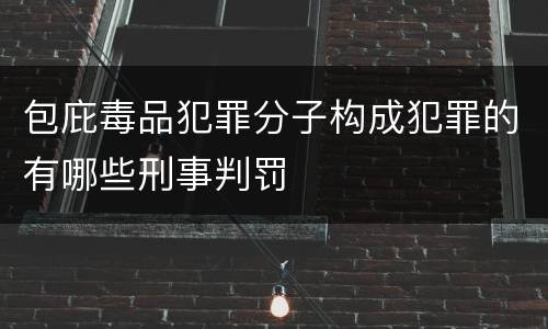 包庇毒品犯罪分子构成犯罪的有哪些刑事判罚