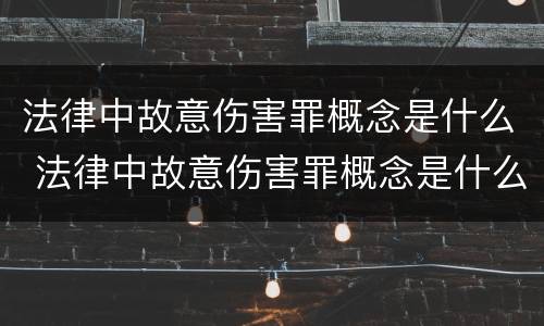 法律中故意伤害罪概念是什么 法律中故意伤害罪概念是什么意思