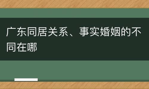 广东同居关系、事实婚姻的不同在哪
