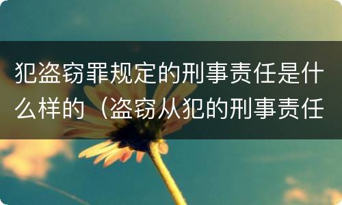 犯盗窃罪规定的刑事责任是什么样的（盗窃从犯的刑事责任）