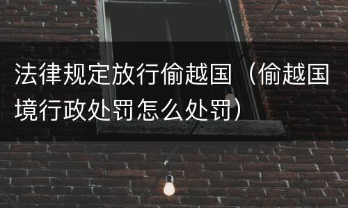 法律规定放行偷越国（偷越国境行政处罚怎么处罚）