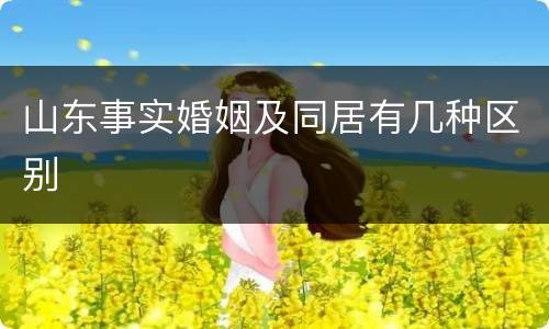 山东事实婚姻及同居有几种区别