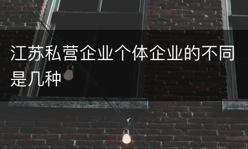 江苏私营企业个体企业的不同是几种