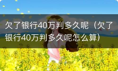欠了银行40万判多久呢（欠了银行40万判多久呢怎么算）