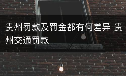 贵州罚款及罚金都有何差异 贵州交通罚款