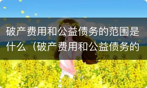 破产费用和公益债务的范围是什么(破产费用和公益债务的范围是什么) 破产费用和公益债务的范围是什么(破产费用和公益债务的范围是什么)