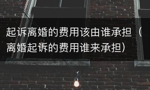 起诉离婚的费用该由谁承担（离婚起诉的费用谁来承担）